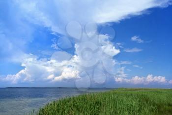 Royalty Free Clipart Image of Grass, Water and Sky