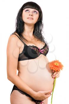 Royalty Free Photo of a Pregnant Woman