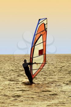 Royalty Free Photo of a Windsurfer