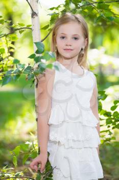 Portrait of beautiful blond girl posing near the birch in white dress