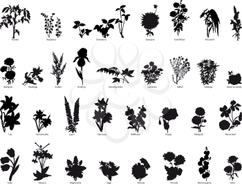 Royalty Free Clipart Image of a Plant Silhouettes