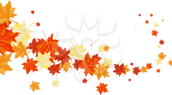 Autumn maples falling leaves background. Vector illustration.