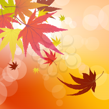 Pattern of autumn  maples leaves. Vector illustration.