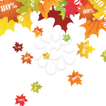 Autumn maples leaves sale label. Vector illustration.