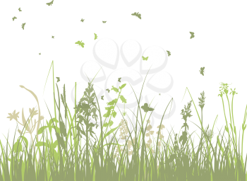 Summer meadow background. EPS 10 vector illustration with transparency and meshes.