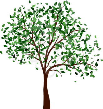 Summer tree with green leaves. EPS 10 vector illustration.