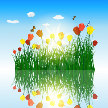 Tulips in grass with reflection in water. Eps 10 vector illustration with transparency and meshes. 