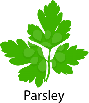Parsley icon on white background. Vector illustration.