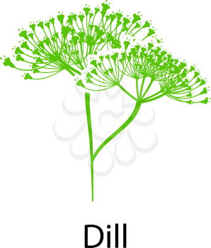 Dill icon on white background. Vector illustration.