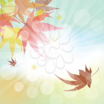 Autumn  Frame With Falling  Maple Leaves on Sky Background. Elegant Design with Rays of Sun and Ideal Balanced Colors. Vector Illustration.