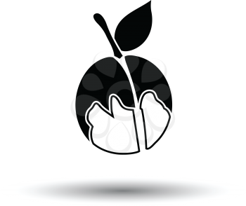 Icon of Peach. White background with shadow design. Vector illustration.