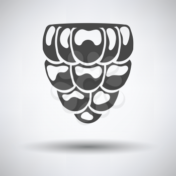 Icon of Raspberry on gray background, round shadow. Vector illustration.