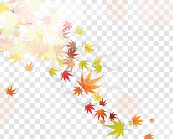 Autumn maple leaves background. Vector illustration with transparency.
