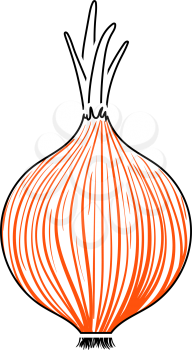 Onion Icon. Thin Line With Orange Fill Design. Vector Illustration.