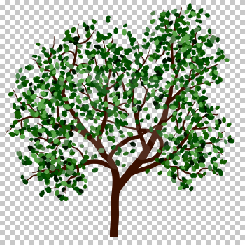 Summer tree with green leaves. EPS 10 vector illustration.