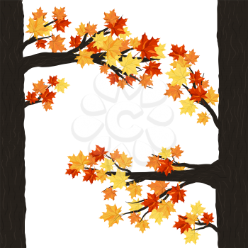 Autumn  Frame With Maple Leaves on Branches of Tree  Over White Background. Elegant Design with Text Space and Ideal Balanced Colors. Vector Illustration.