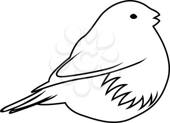 Sketch of Bird. Outline Design.  Vector Illustration.