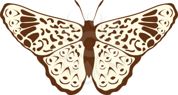 Sketch of Butterfly. Brown Line Color Design.  Vector Illustration.