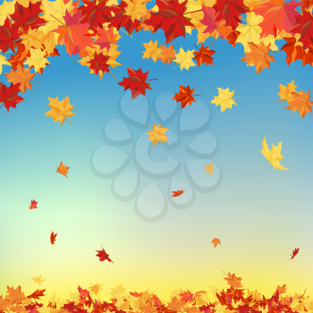 Fall (Autumn) Background With Maple Leaves. Vector Illustration.