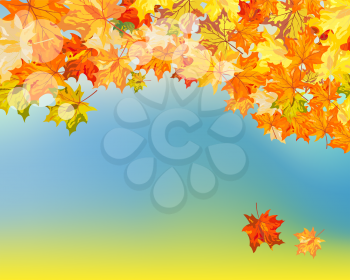 Fall (Autumn) Background With Maple Leaves. Vector Illustration.