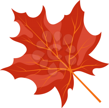 Autumn Maple Leaf. Fall Collection. Vector illustration.