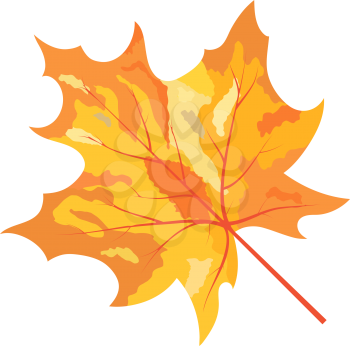 Autumn Maple Leaf. Fall Collection. Vector illustration.