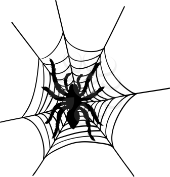 Halloween black spider with nets. Vector illustration.