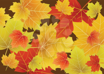 Royalty Free Clipart Image of Autumn Leaves