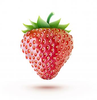 Vector illustration of a beautiful ripe red fresh strawberry isolated on white background