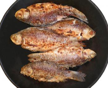 Royalty Free Photo of Fish in a Frying Pan