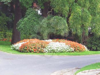 Royalty Free Photo of a City Park