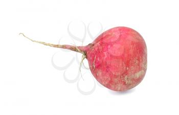 One large radish on a white background