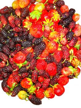 Royalty Free Photo of Mixed Berries
