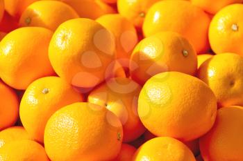 Sale of ripe oranges on the market