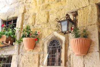 Pot of flowers adorn the walls of the house 