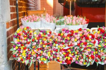 Sale of tulips in the Dutch market.