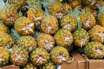 Fresh pineapples for sale in the market