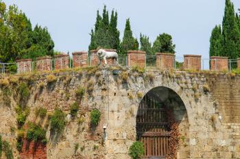 Antique fortified wall and gate with statue of lion. Pisa, Italy