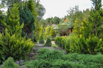 Coniferous garden with decorative arbor