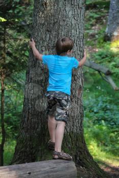 Boy hugs wild trunk of old tree in summer forest