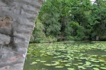 Yellow water lilies in park pond. Villa Sorra, Castelfranco Emilia, Modena, Italy