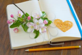 Spring blossom on blank open notebook with pencil love message symbol. Romantic letter diary. Lovely flowers passion concept. Empty romance lyrics book.