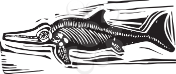 Simple rough woodcut style depictions of a Ichthyosaur Dinosaur fossil