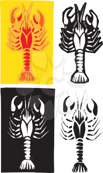 Woodcut style image of lobster or crayfish in different layouts.
