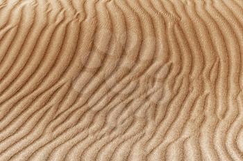 Royalty Free Photo of Sand Dunes