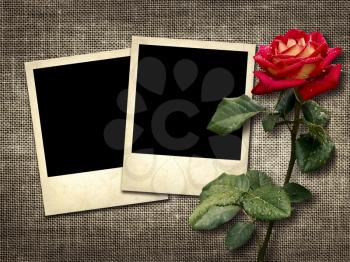 Polaroid-style photo on the background of linen with red rose