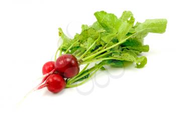 Royalty Free Photo of Radishes