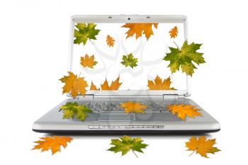 Autumnal leaves falling out of computer. Isolated on white background