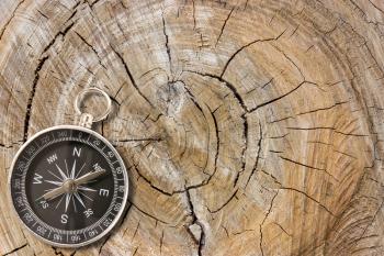 Black compass on the old stump with a cracks