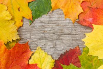 Royalty Free Photo of an Autumn Leaf Frame